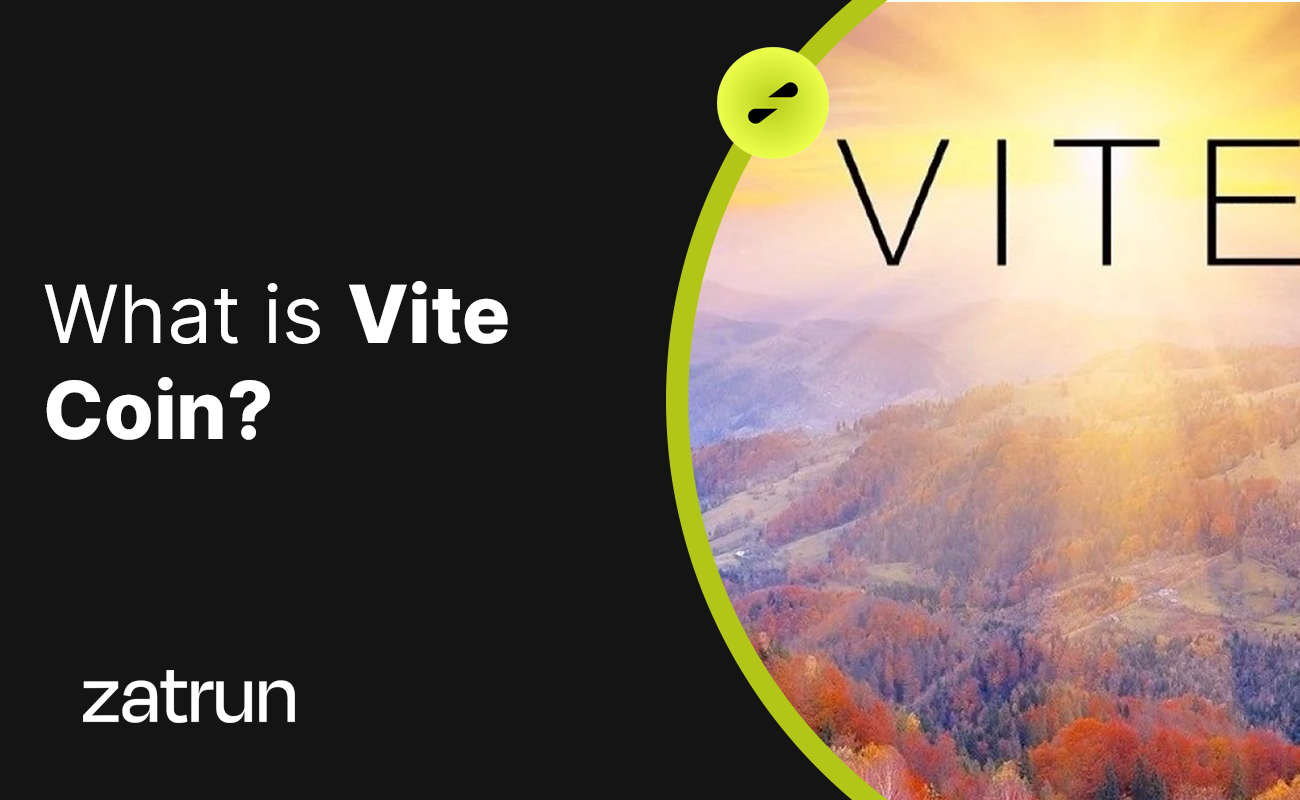 Vite Coin 101: A Gateway to Cross-Chain Transactions