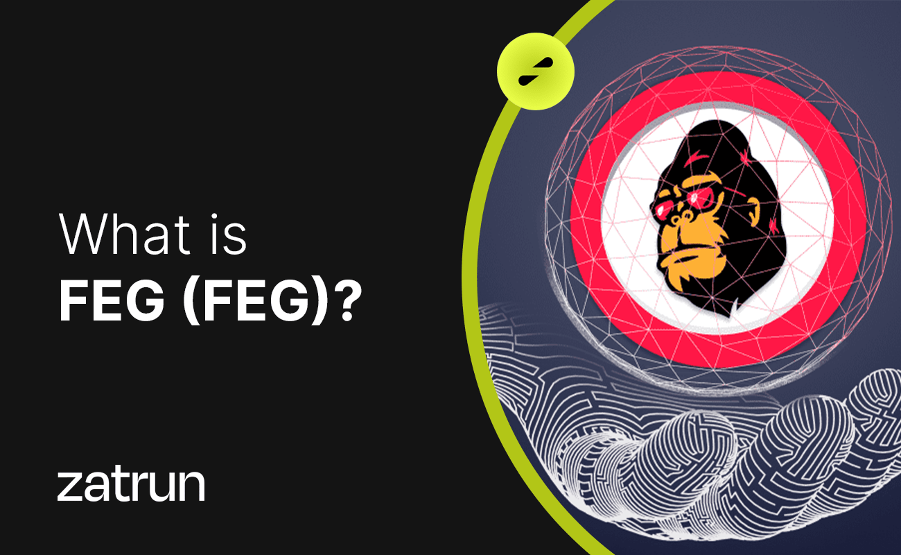 FEG (FEG) 101: Discover the ERC-20 and BSC-Based Token