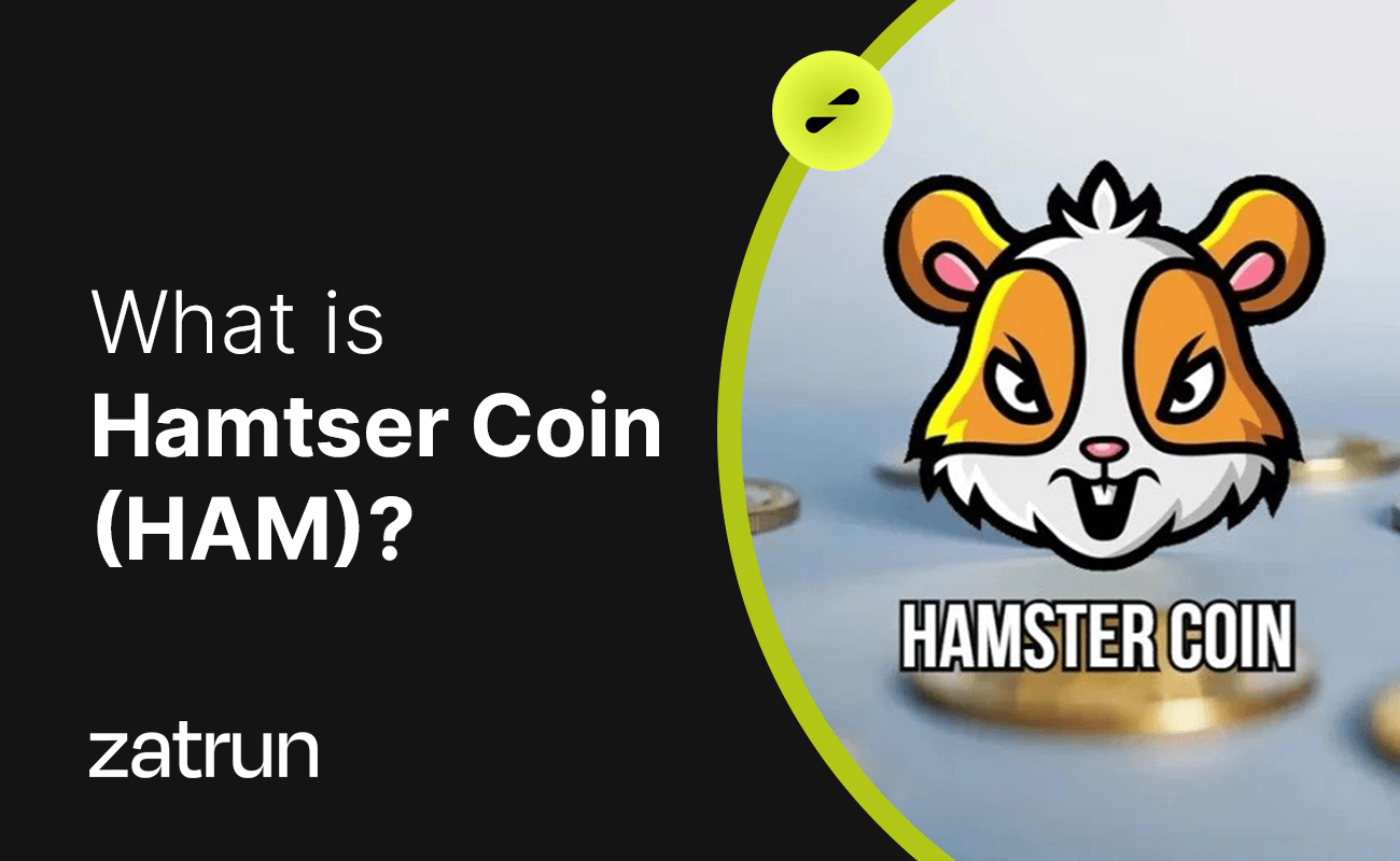 What is Hamster Coin (HAM)? First Meme Coin on the BNB Chain