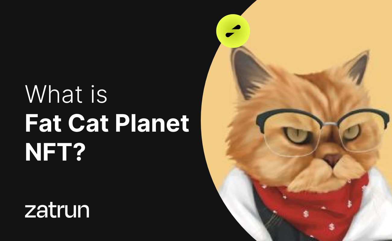Fat Cat Planet NFT